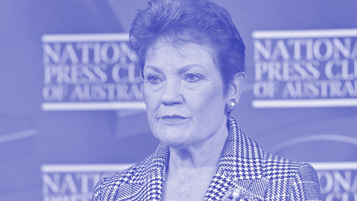‘Unashamed nationalist': Pauline Hanson calls for ‘monoculture' in Australia