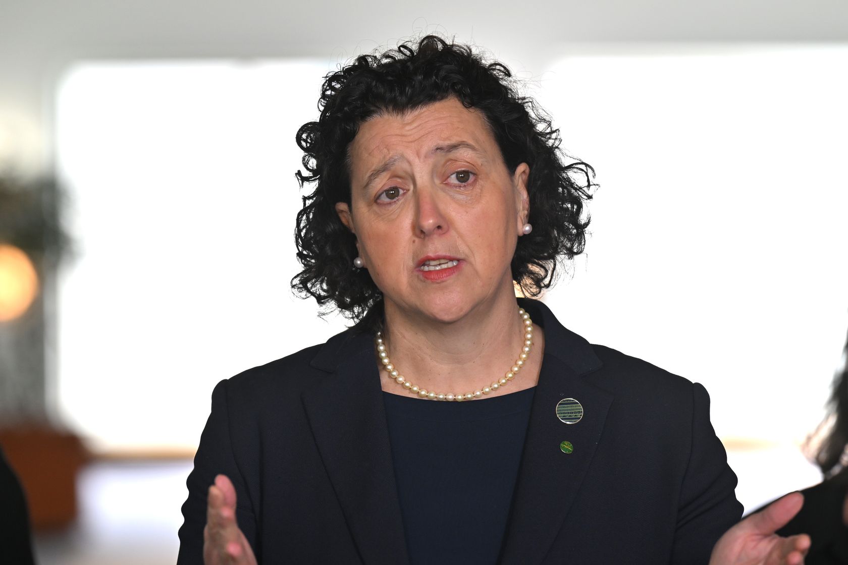 Monique Ryan says her bill would be 'right up there' in negotiation priorities with the major parties. AAP / Mick Tsikas.