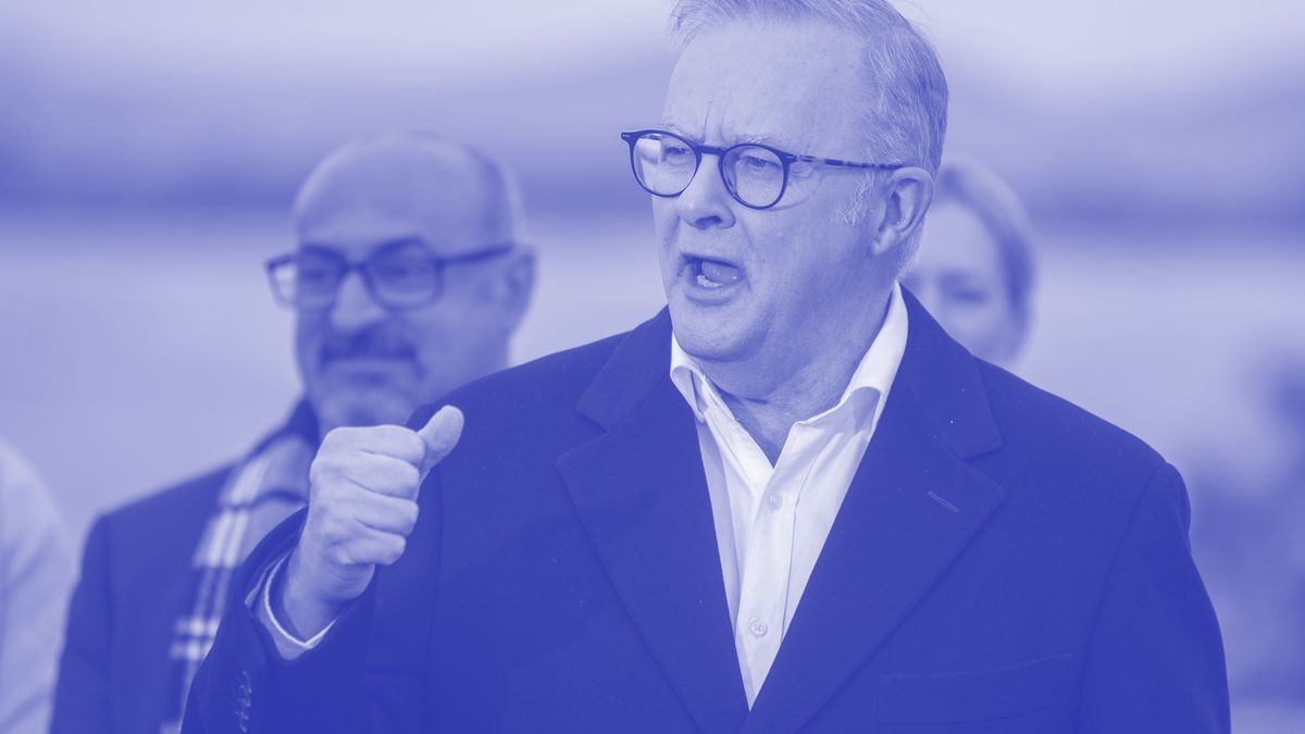 Albanese's budget backfire